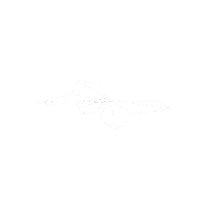 Edm Butterfly Sticker by flutttr