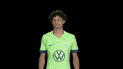 Happy Celebration GIF by VfL Wolfsburg