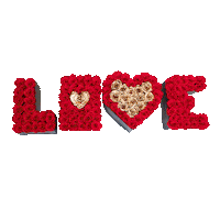 Flower Love Sticker by Lovely Roses