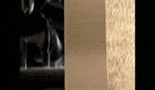 dog drool GIF