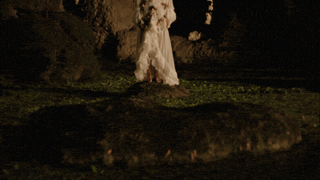 Funk Equilibrium GIF