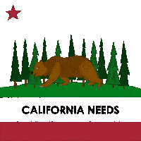 Climate Crisis Bear Sticker by INTO ACTION