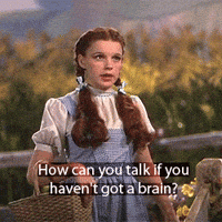Wizard Of Oz Brain GIF