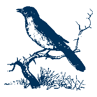 beefbar-nightingale animation illustration bird restaurant Sticker