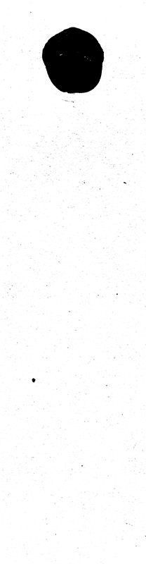 art GIF by Pierre-Julien Fieux