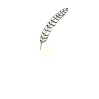 Feather Crawdads Sticker by Sony Pictures