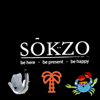 sokzo sokzo GIF
