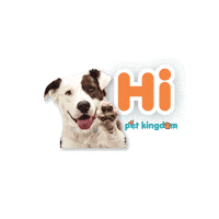 Dog Pet Sticker by DM KLR