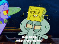 season 4 GIF by SpongeBob SquarePants