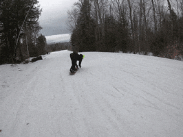 Dingo Snowboarding GIF by Elevated Locals
