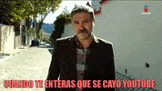 GIF by Imagen Televisión