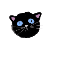 julybreys cat kawaii gato dormir Sticker