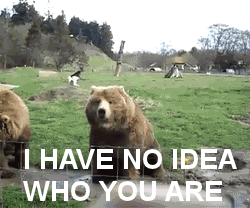 Wildlife gif. A person reaches their hand in from off screen and waves at two very large bears sitting in mud in a field. One bear sits up and waves eagerly. Text, "I have no idea who you are."