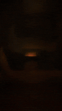 Cod Raygun GIF by Youtooz