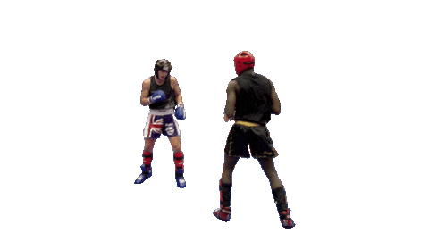 Kickboxing Wako Sticker by Brannmanndan