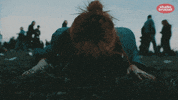 sofie engelen GIF by Studio Brussel
