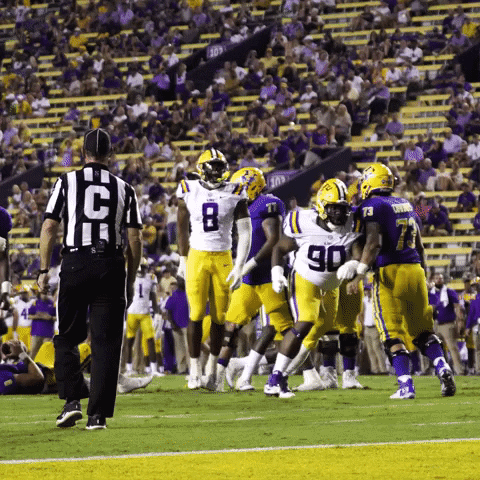 Football Sport GIF by LSU Tigers