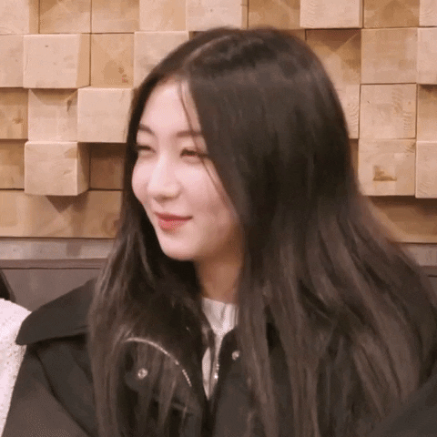 K Pop No GIF