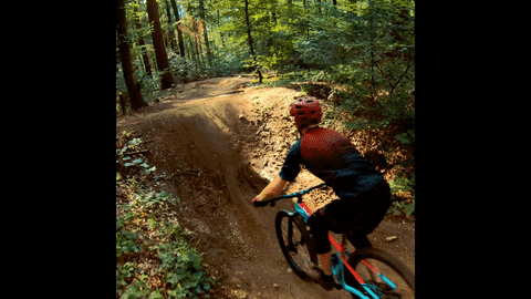 mount7 giphyupload GIF