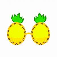 Opticsgreece GIF by optical-fashion.gr