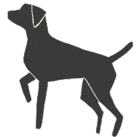 Dog Weimaraner Sticker by Andrea Caceres