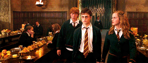 harry potter and the order of the phoenix GIF