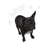 Dog Puppy Sticker