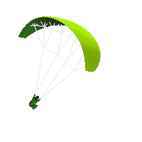 sanjorgecc money dinero dollars parapente Sticker