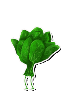 Plant-Based Vegan Sticker by Knorr South Africa