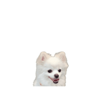 Happy Smile Sticker by hitejinro