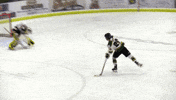 Junior Hockey Canada GIF by Powell River Kings Junior Hockey