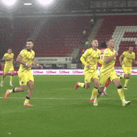 Celebration Goal GIF by MillwallFC