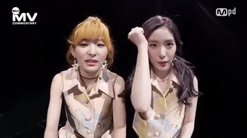 k-pop irene GIF