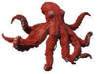 Beauty What Sticker by Mighty Oak