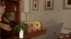 Work From Home GIF by WGBH Boston