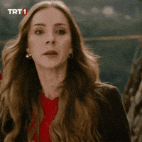 Dizi Go GIF by TRT