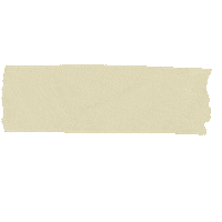 Washi Tape Sticker