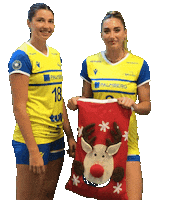 Volleyball Sticker by SSCPalmbergSchwerin