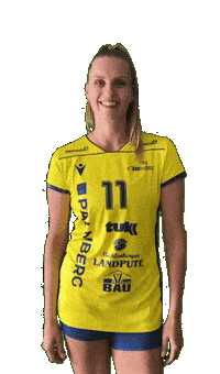 Schwerinersc Sticker by SSCPalmbergSchwerin