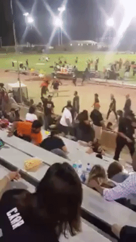 Chaotic Scenes After Shots Fired Near Selma High School Football Stadium
