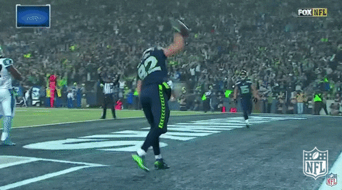 Seattle Seahawks GIF by NFL