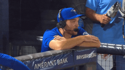 Blue Jays Baseball GIF by Toronto Blue Jays
