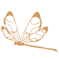 Art Dragonfly Sticker by Perrier-Jouët
