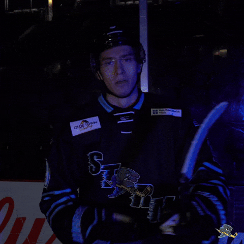 Celebration Hockey GIF by Quad City Storm