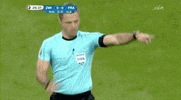 euro 2016 dancing GIF by Sporza