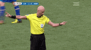 euro 2016 dancing GIF by Sporza