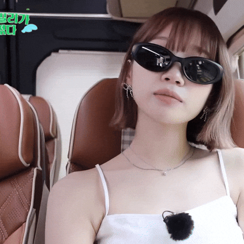 Sunglasses Swag GIF