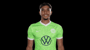 Football Reaction GIF by VfL Wolfsburg