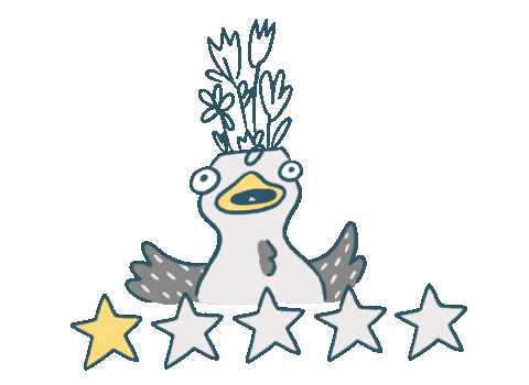 Stars Yes Sticker