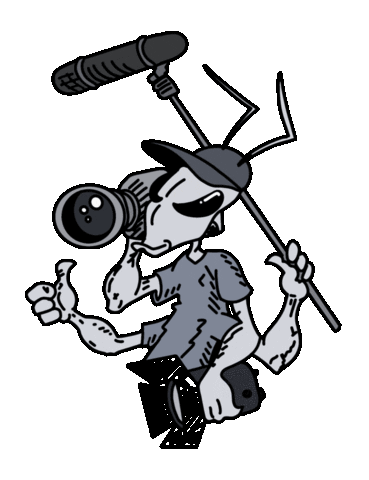Dp Ant Sticker